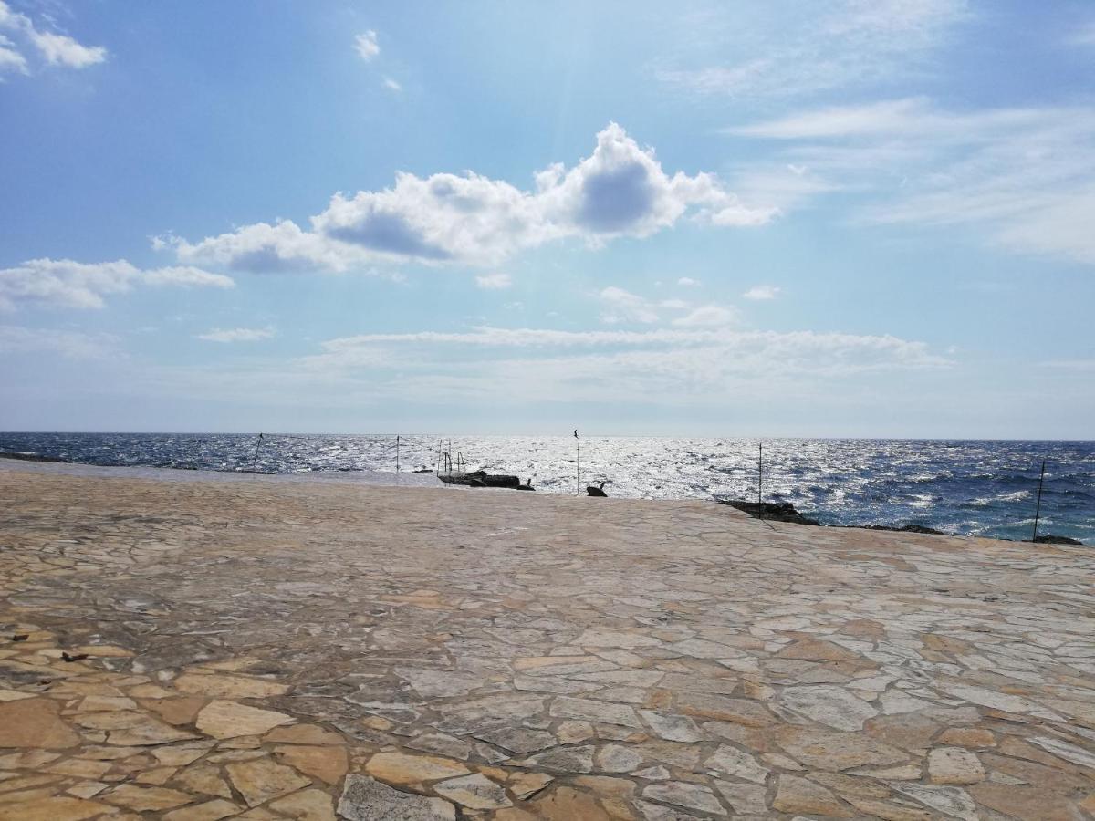 Apartment Nona Tar-Vabriga Εξωτερικό φωτογραφία