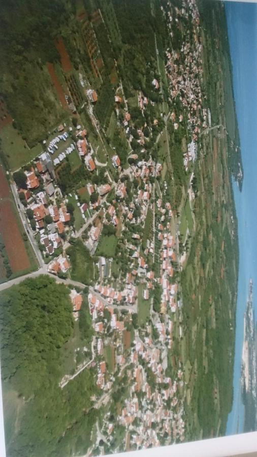 Apartment Nona Tar-Vabriga Εξωτερικό φωτογραφία